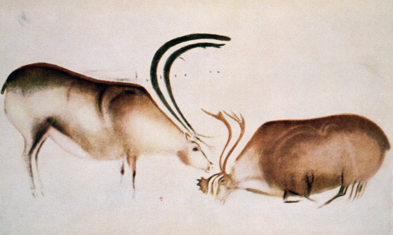 Han- og hunhjorte, Magdalensk skole, ca. 13000 f.Kr. (hulemaleri) af Paleolithic