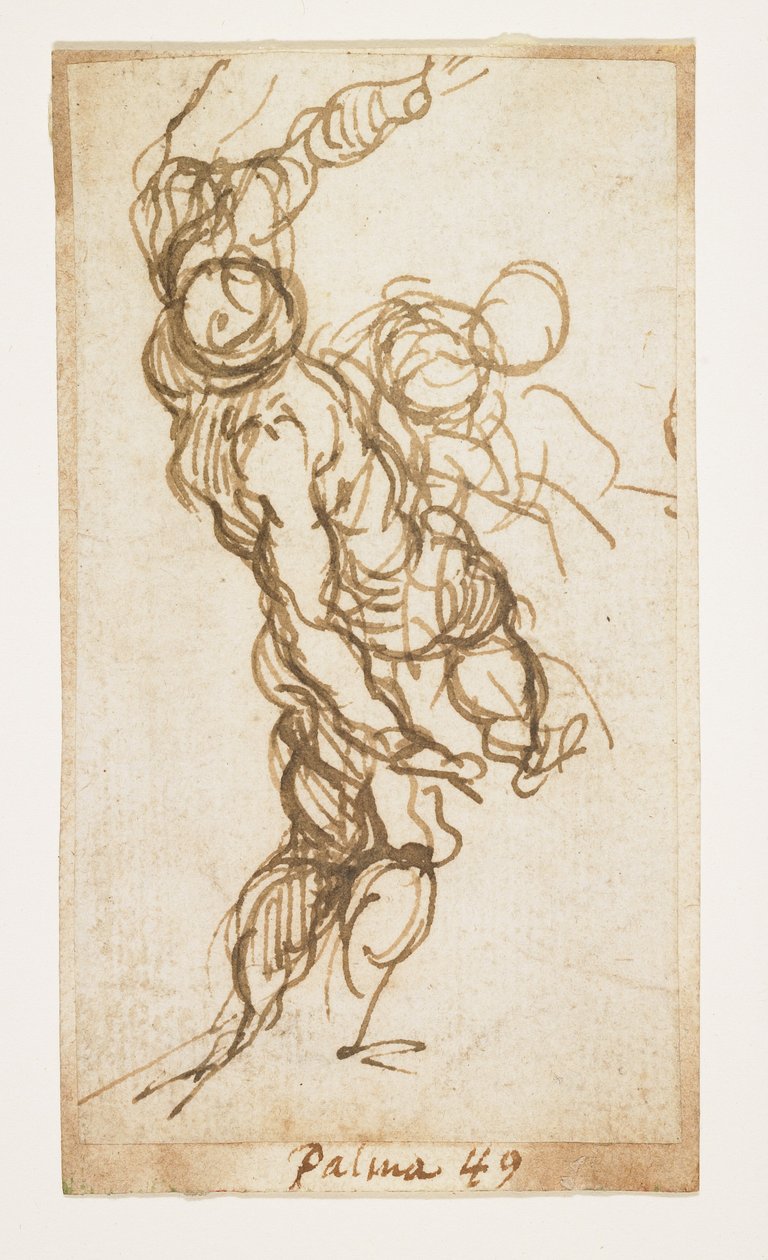 Mandsfigurstudie af Palma Il Giovane