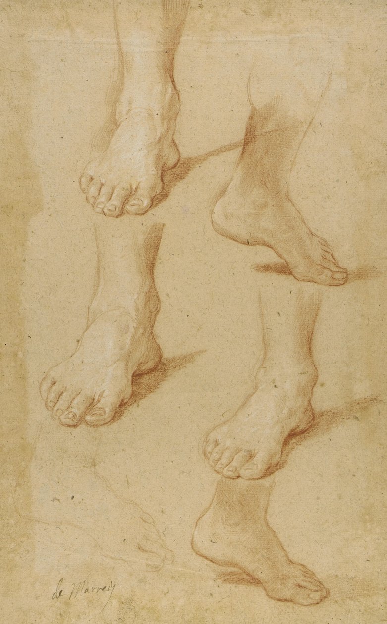 Tegning af Paolo de Matteis