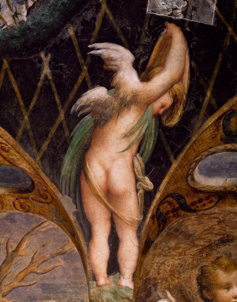 Putto, fra Myth of Diana and Actaeon af Parmigianino
