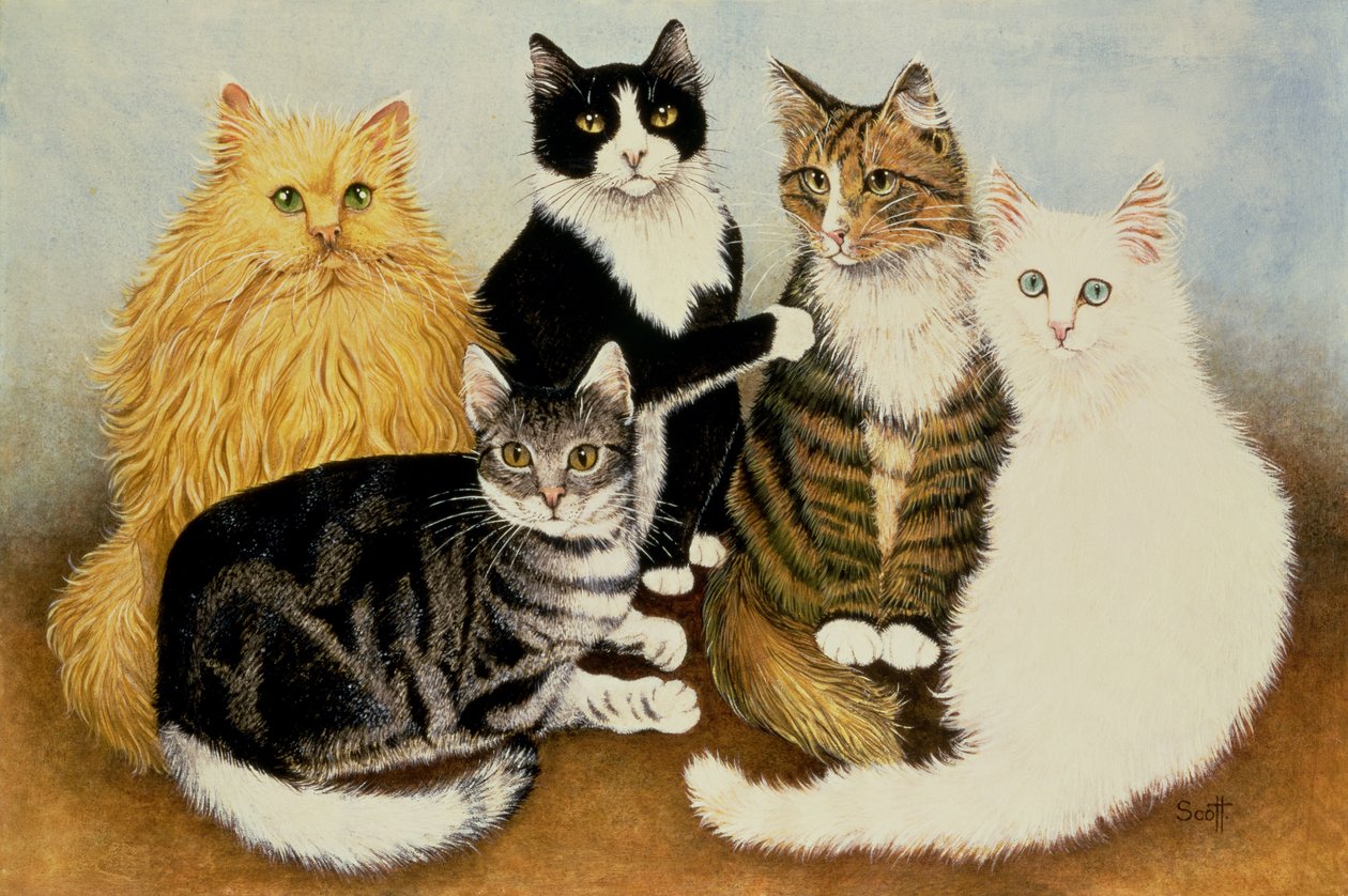 Kattens vugge af Pat Scott