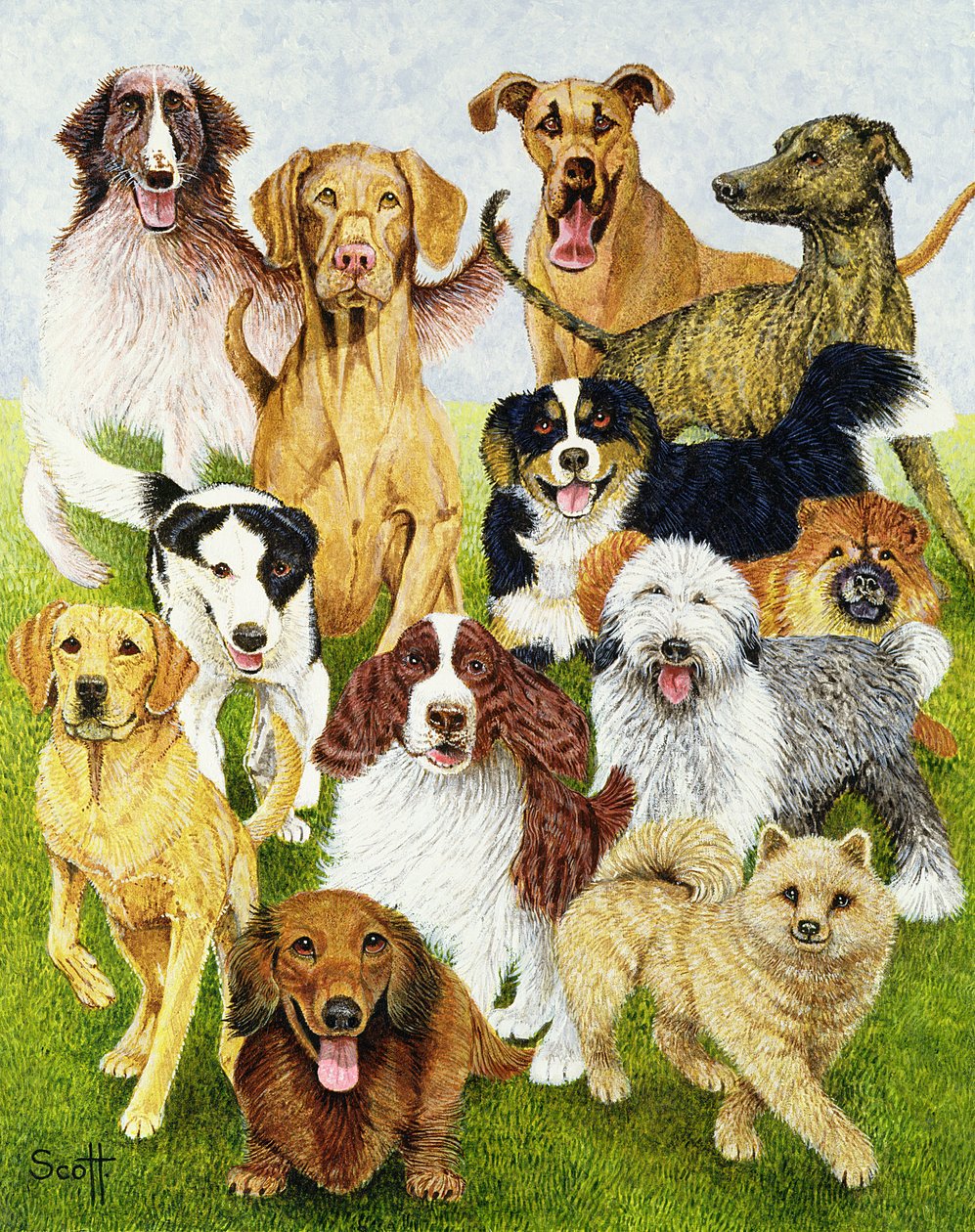 Dog Days (olie på lærred) af Pat Scott