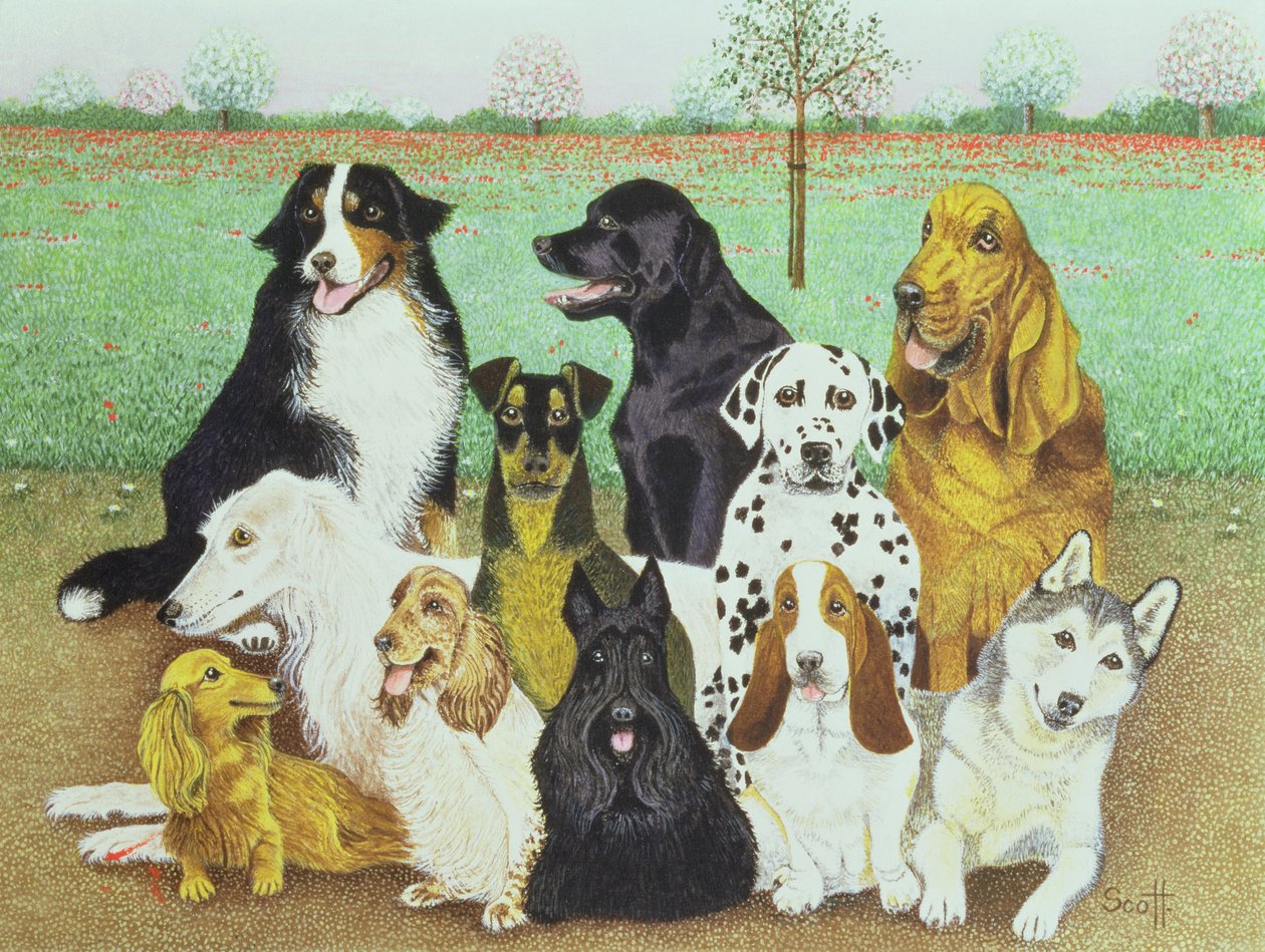 Dog Watch af Pat Scott