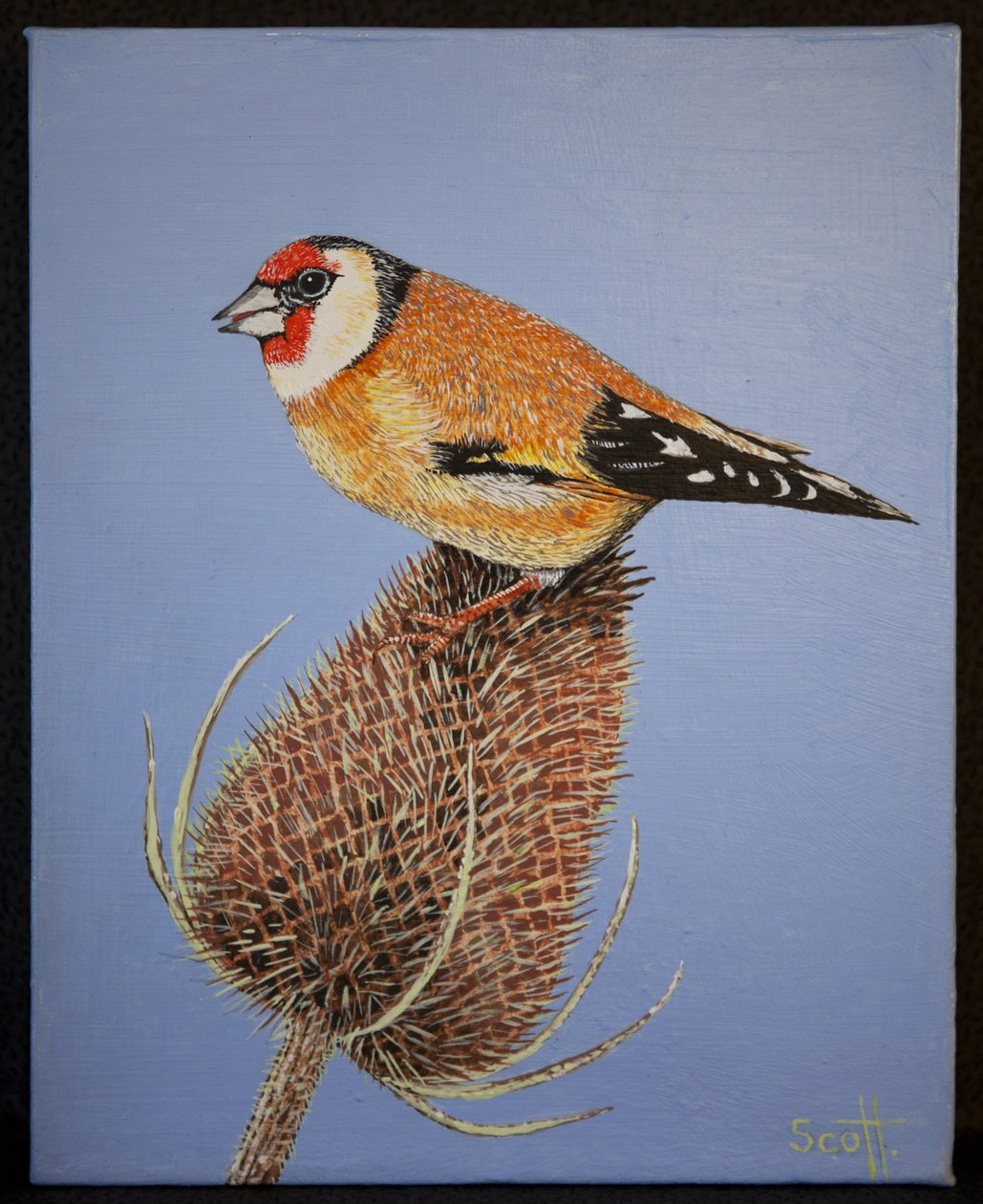 Goldfinch, 2016 af Pat Scott