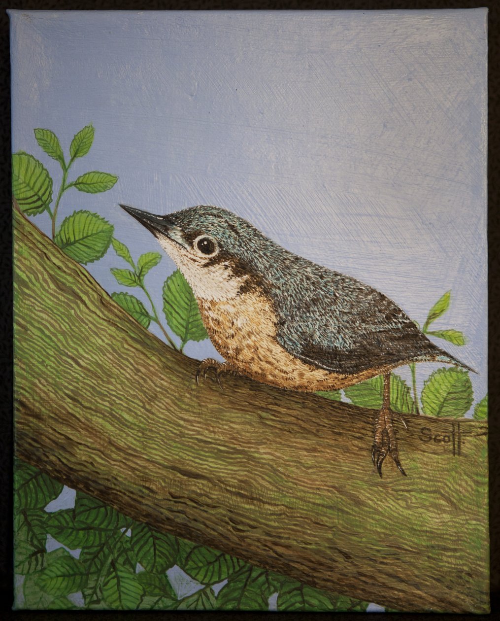 Nuthatch, 2016 af Pat Scott