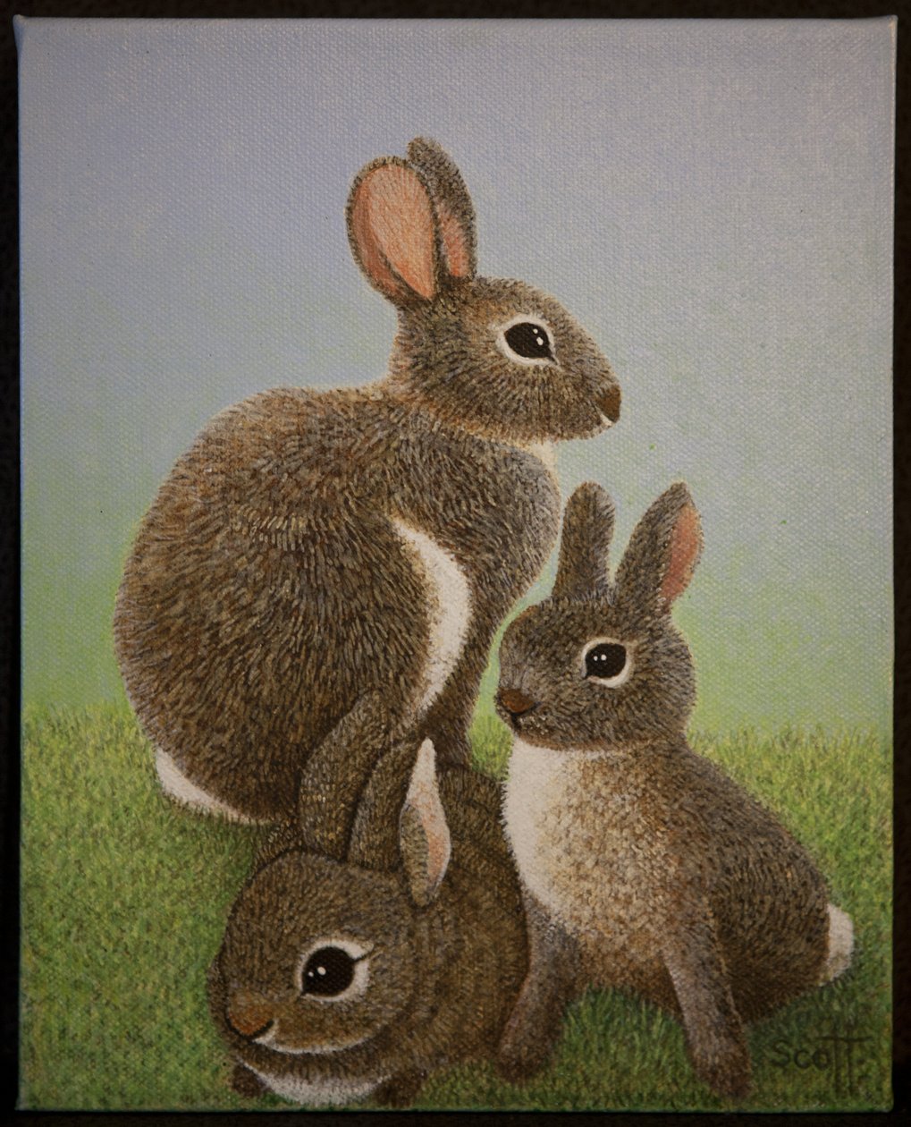 Familien Kanin, 2016 af Pat Scott