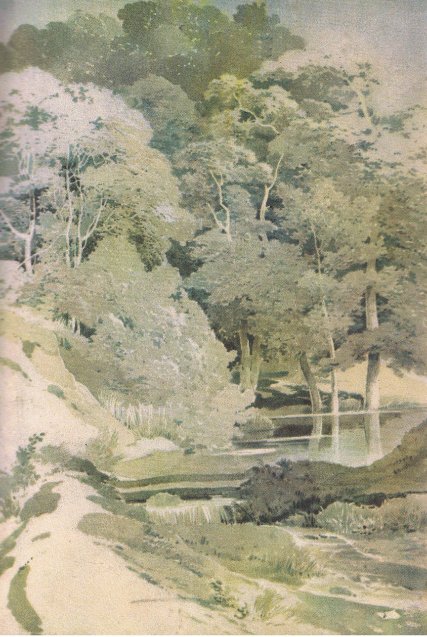 Ancient Beech in Windsor Forest, Nature in Britain udgivet af Collins, 1946 af Paul Sandby