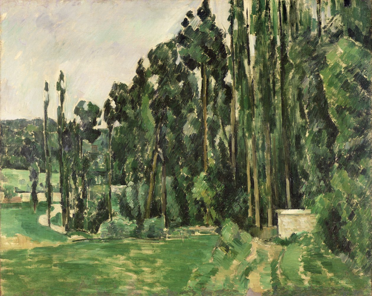 The Poplars, ca. 1879-82 (olie på lærred) af Paul Cézanne