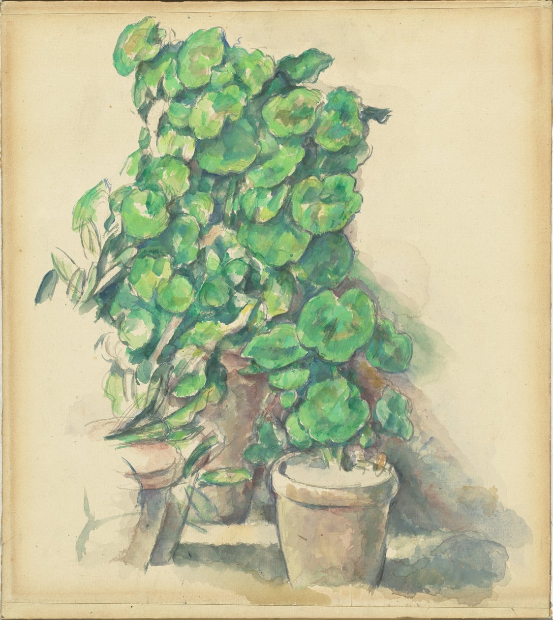 Pelargonier af Paul Cézanne
