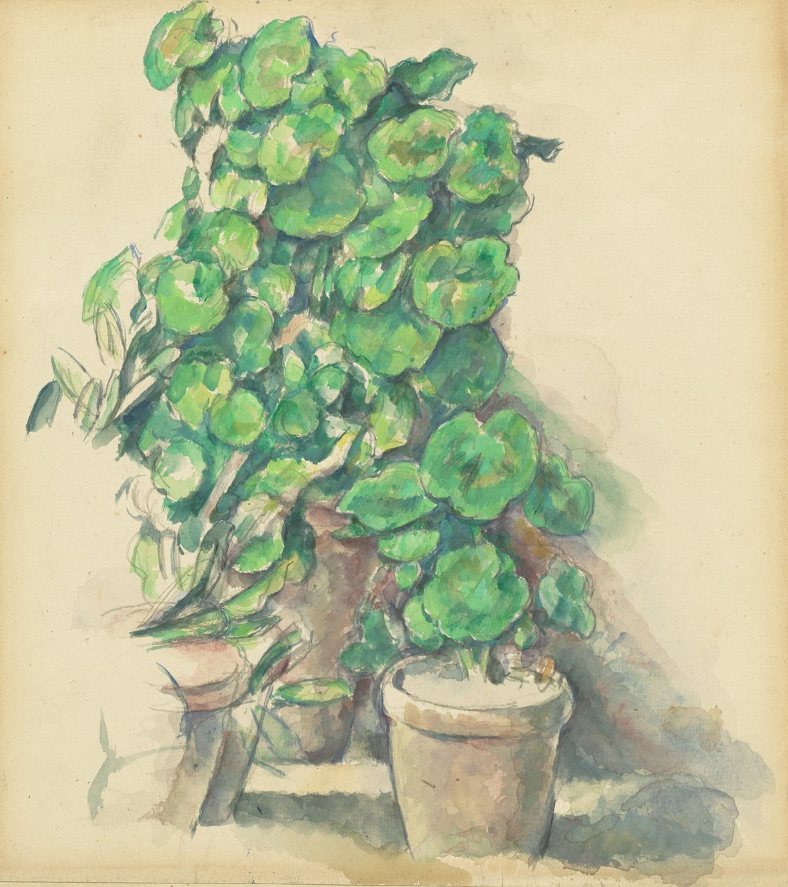Pelargonier, 18881890. af Paul Cézanne