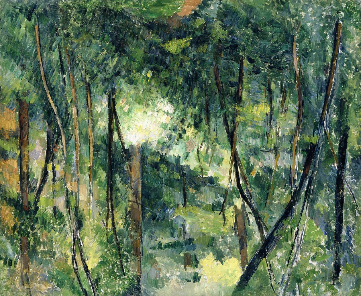 Underskov, c.1885 af Paul Cézanne