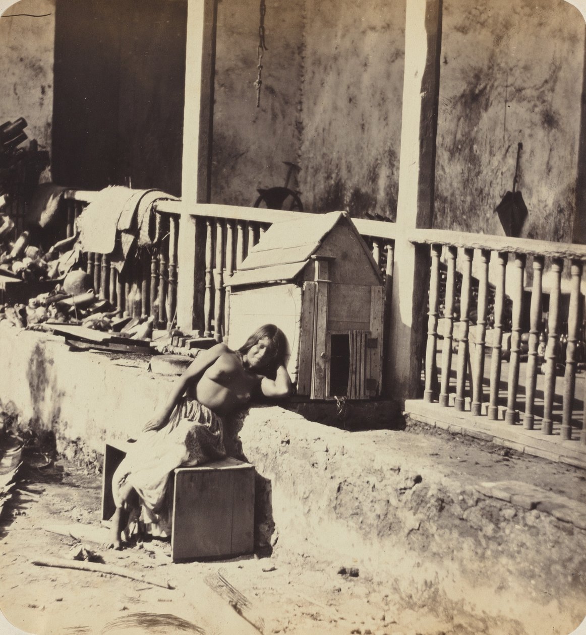 Garvels hund (Martinique) af Paul Emile Miot