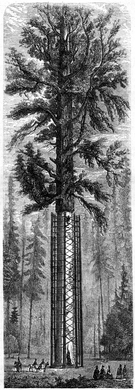 Yosemite National Park, Californien, 1800-tallet. af Paul Huet