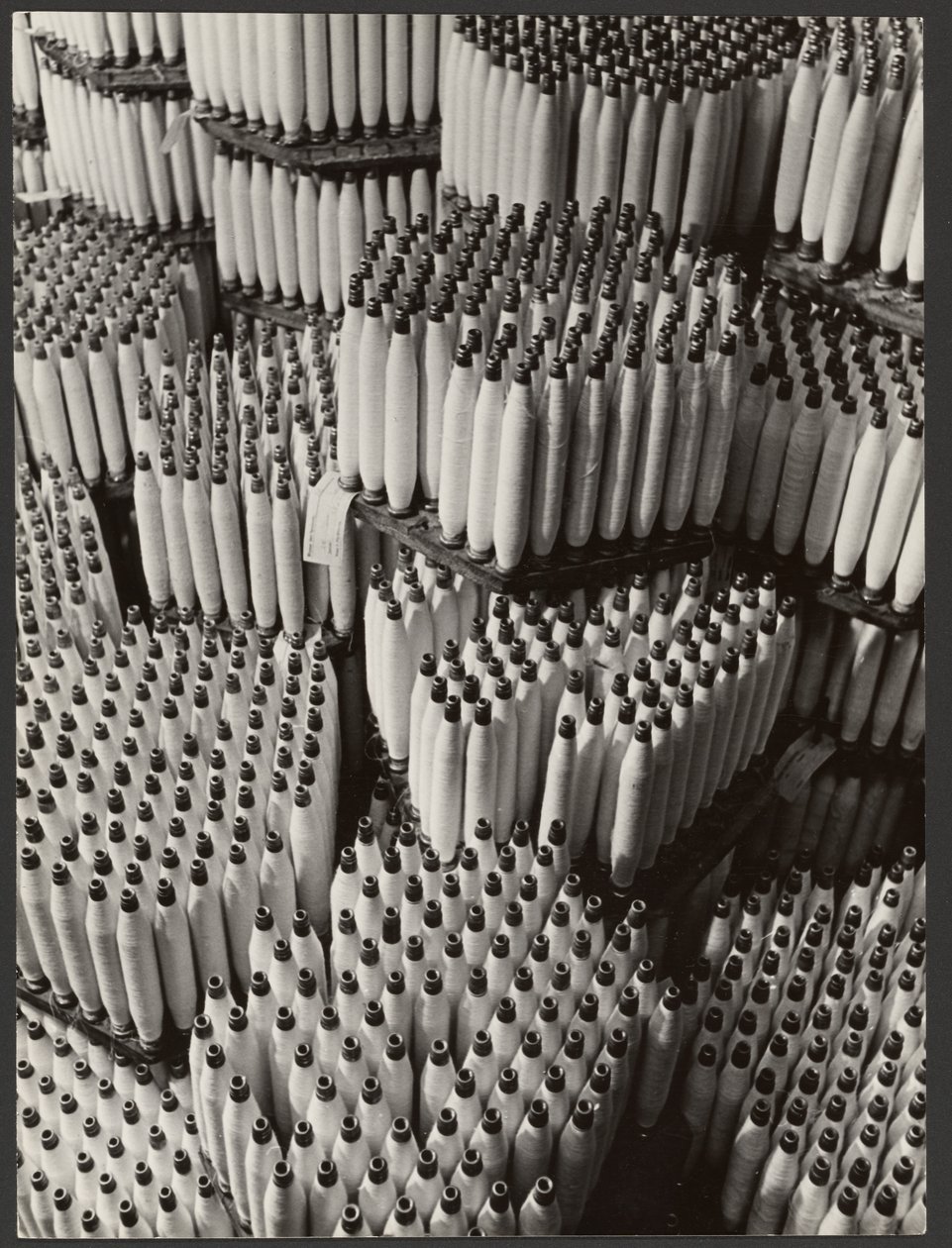 [Stablede spoler af snor] af Paul Wolff