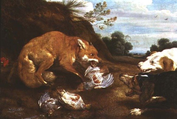 Ræv og hunde kæmper om agerhøns af Paul De Vos