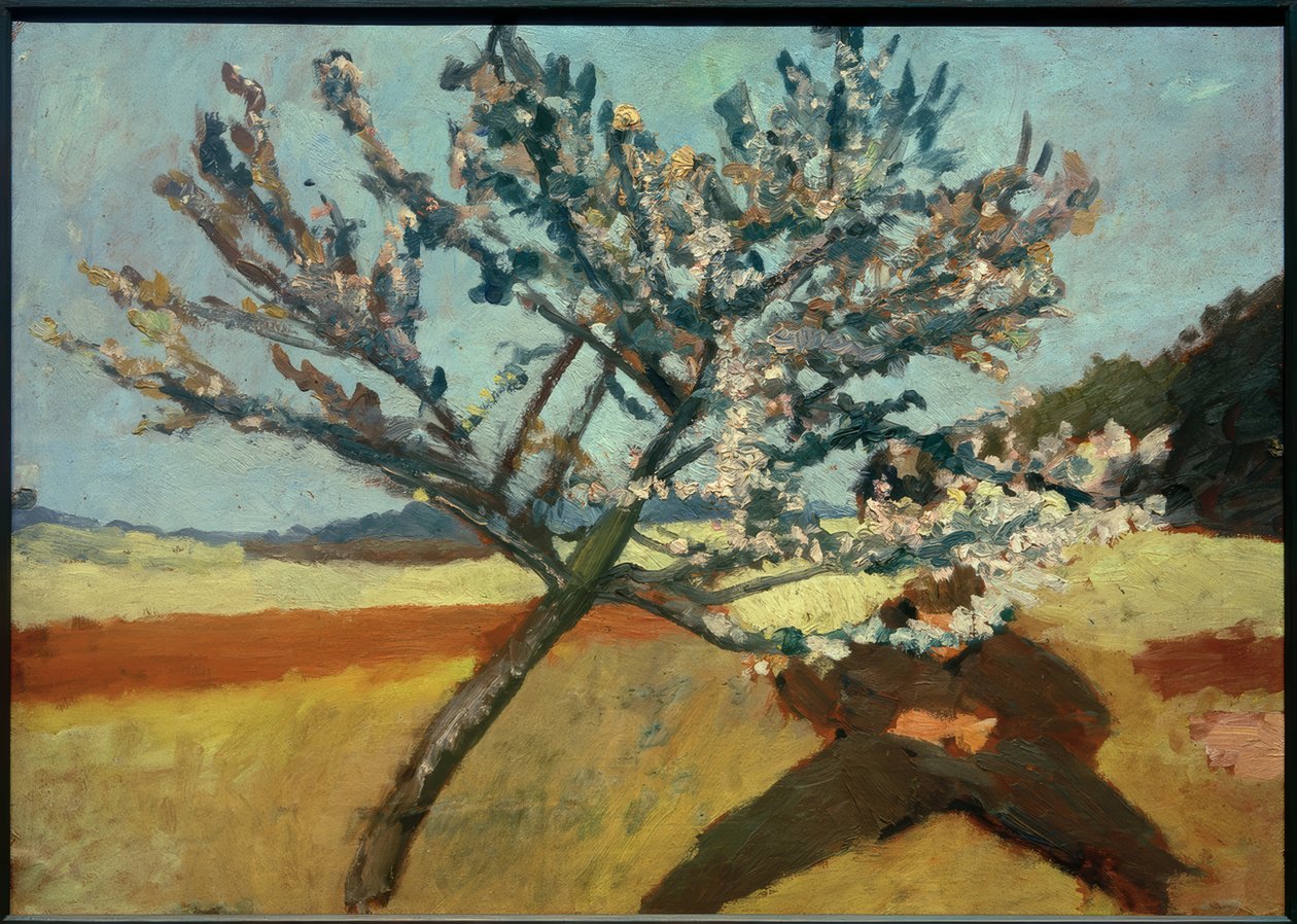 P.Modersohn-Becker, Mand tilbagelænet under et blomstrende træ af Paula Modersohn Becker