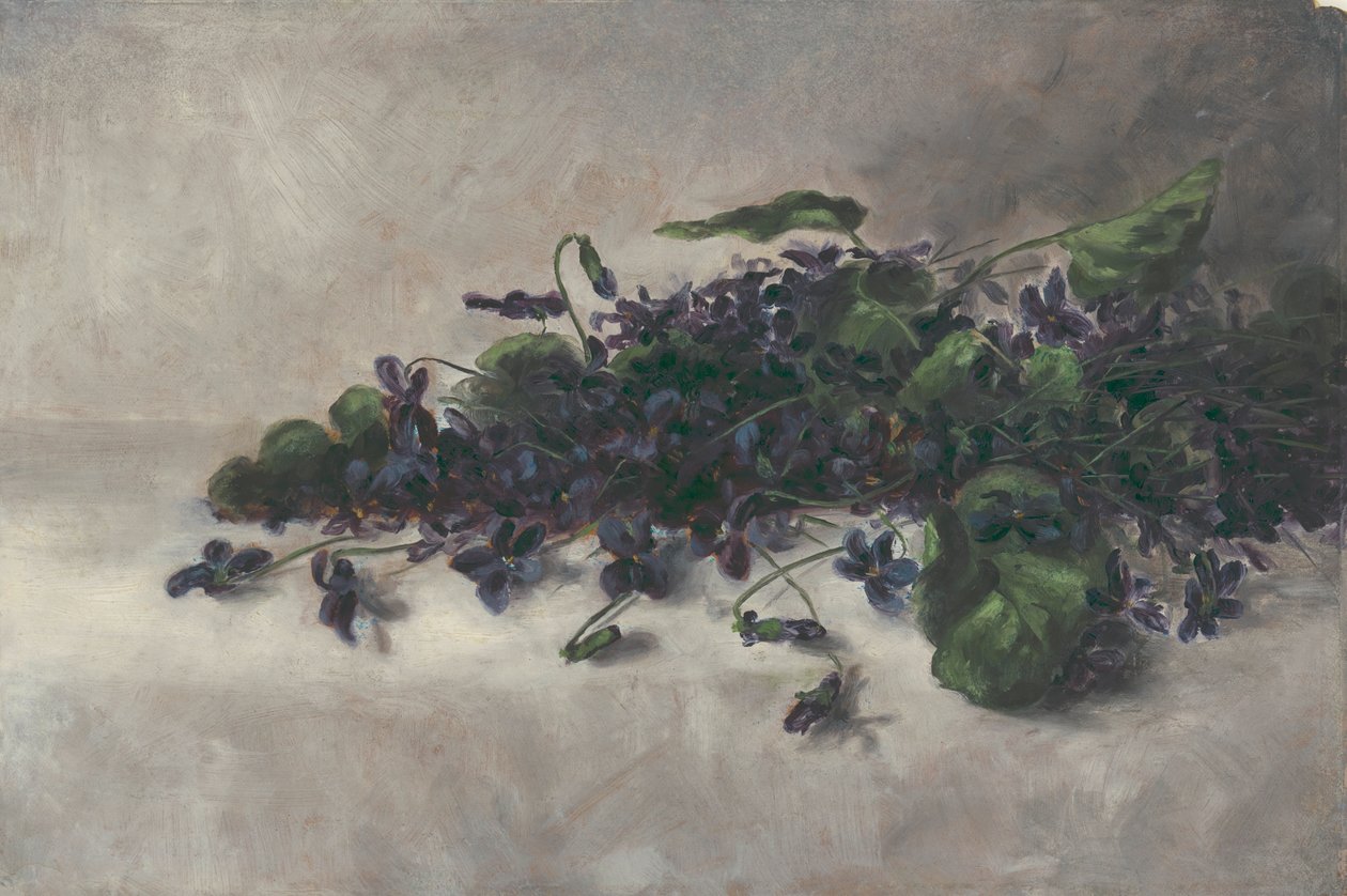 Violer, ca. 1890. af Pauline Powell Burns