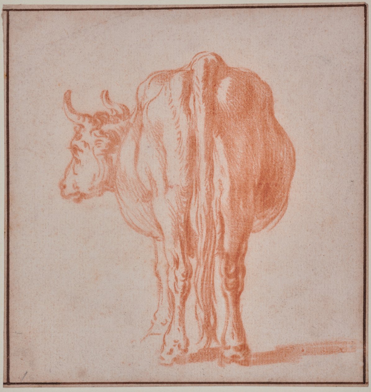 Ko (dyreundersøgelse) af Paulus Potter