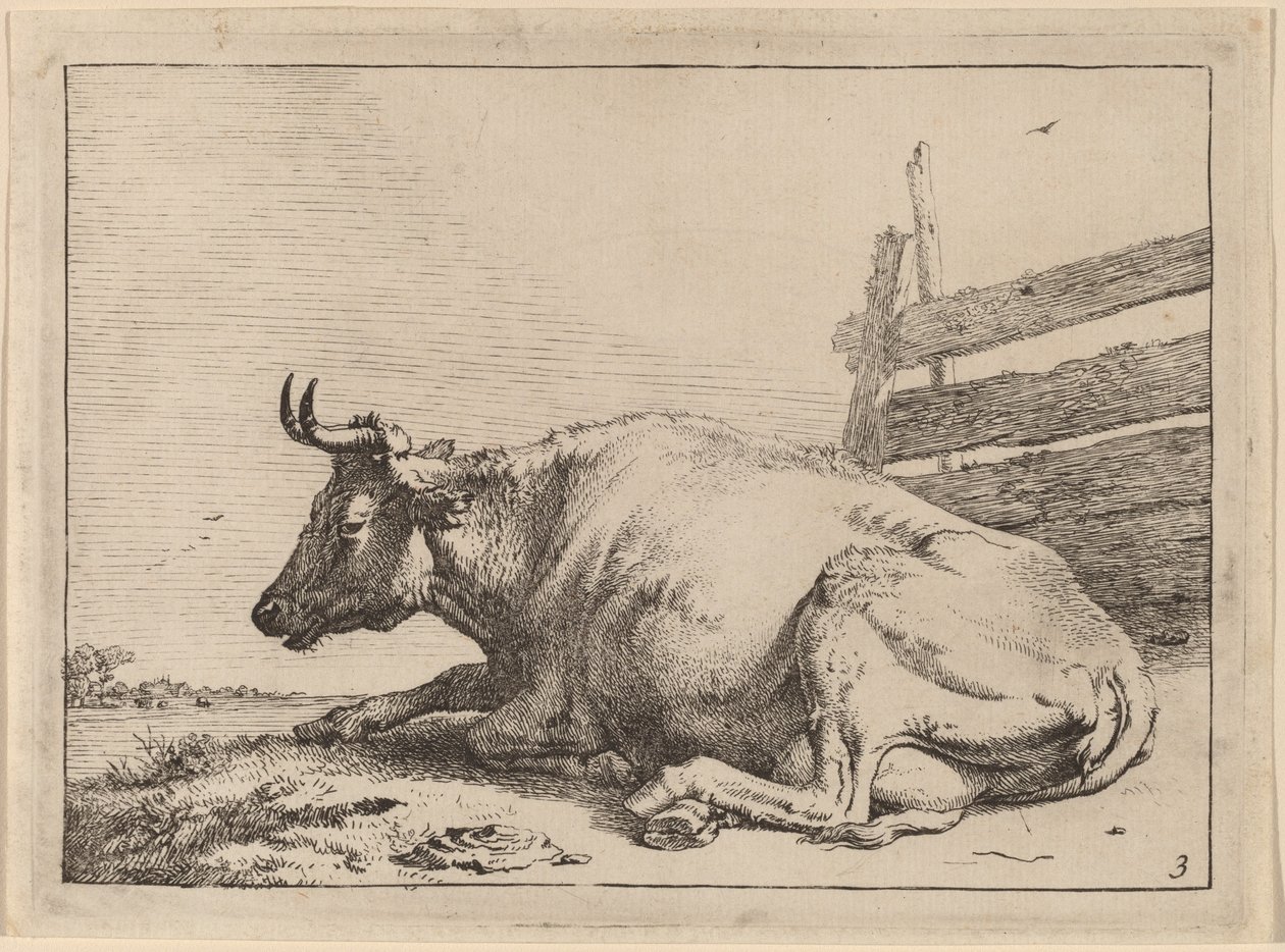 Ko, der ligger tæt ved et hegn af Paulus Potter