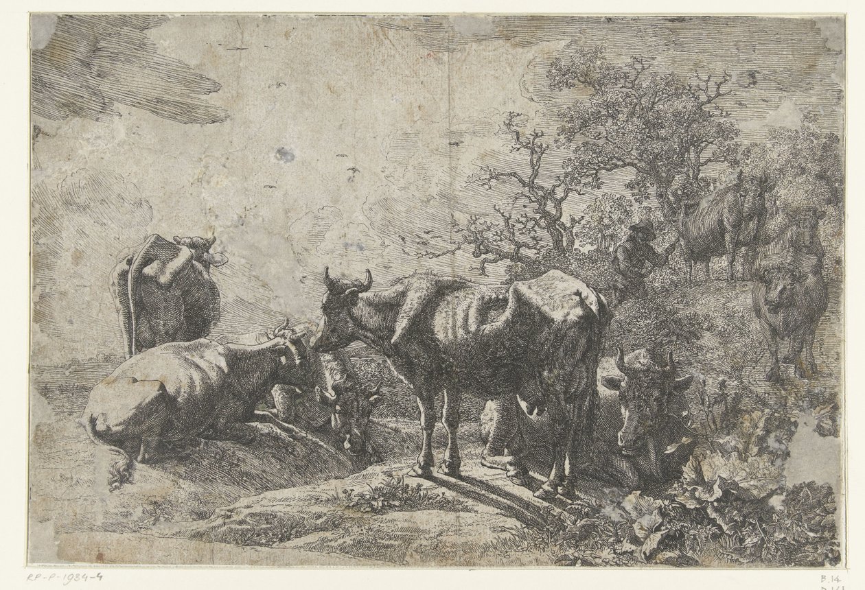 hyrden af Paulus Potter
