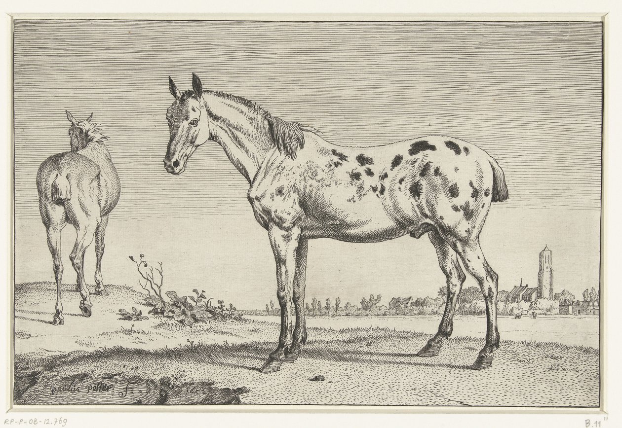 Den kuperede hest Heste (serietitel) af Paulus Potter
