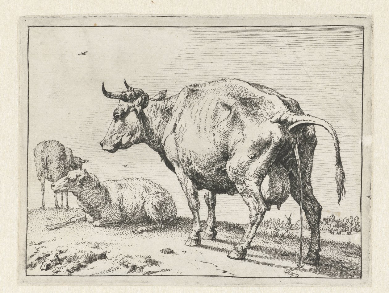 pisser ko The Bullen-hæftet (serietitel) af Paulus Potter