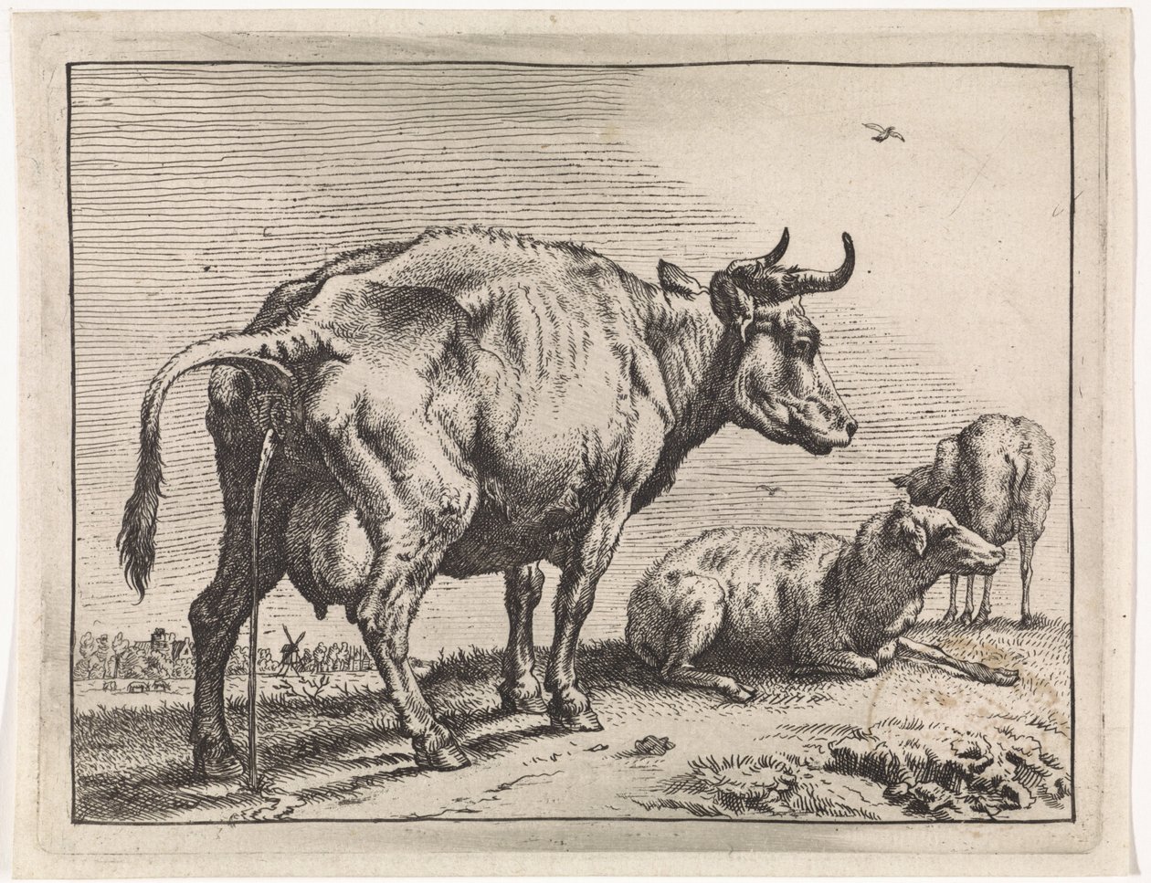 Pis The Bullen pjece (serietitel) af Paulus Potter