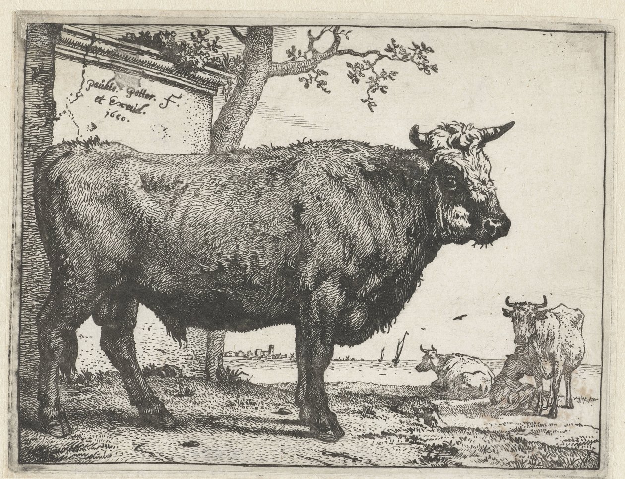 Tyren The Bull Book (serietitel) af Paulus Potter