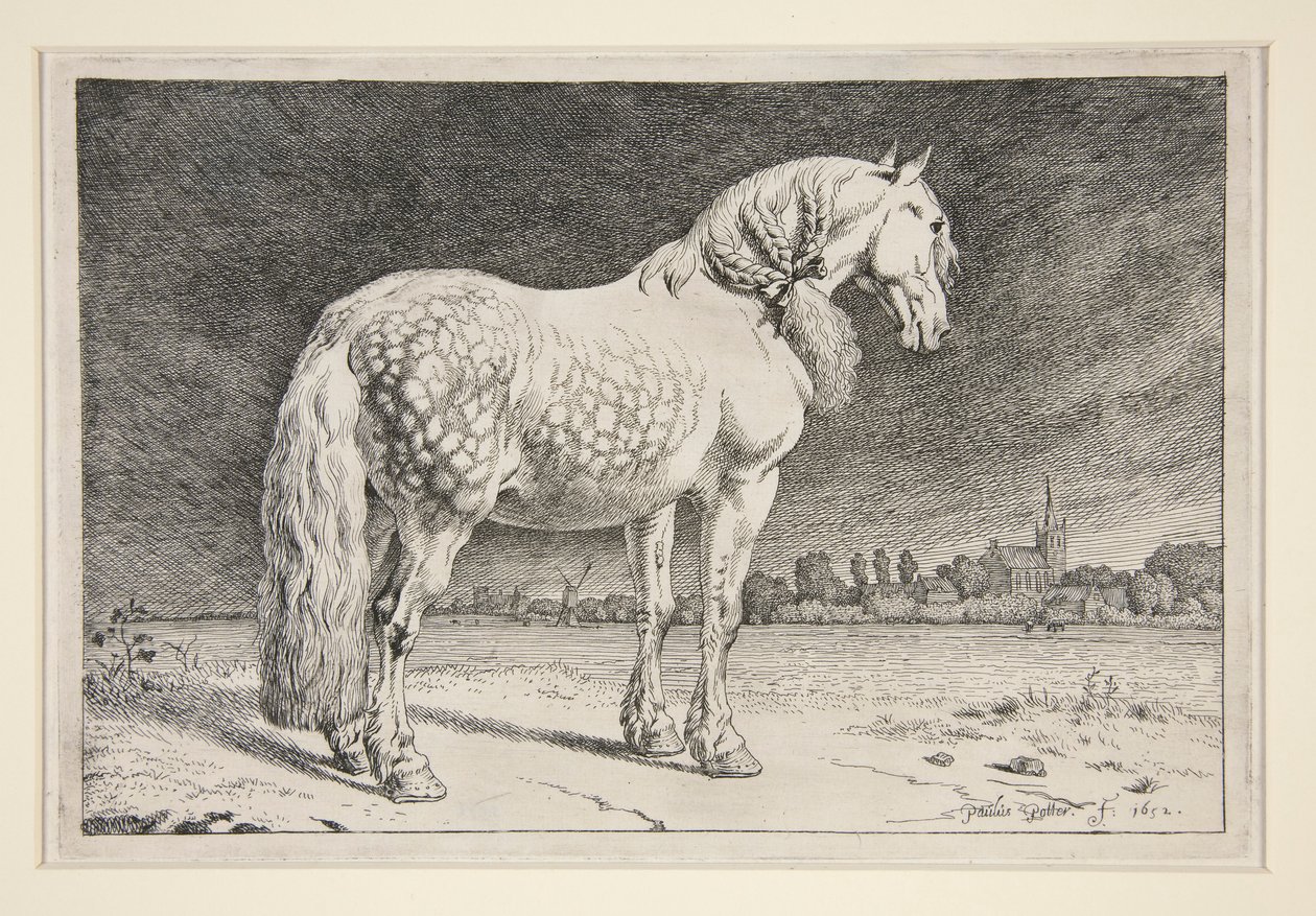 Friesland-hesten af Paulus Potter
