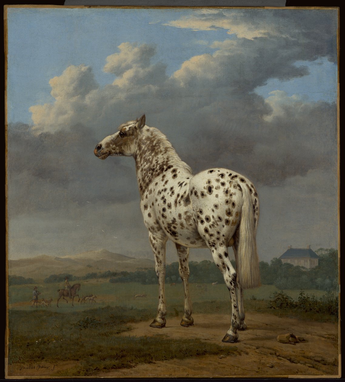 Den "skæve" hest af Paulus Potter