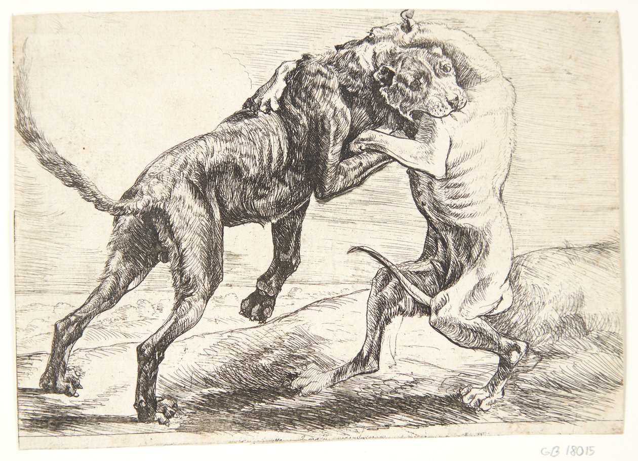 To hunde der kæmper af Paulus van Hillegaert (II)
