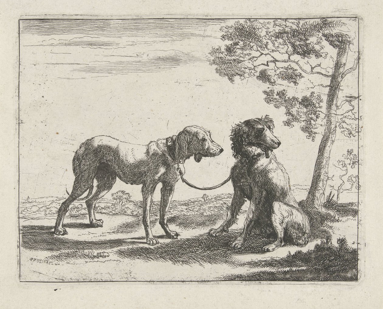 To hunde Hunde (serietitel) af Pauwels van Hillegaert