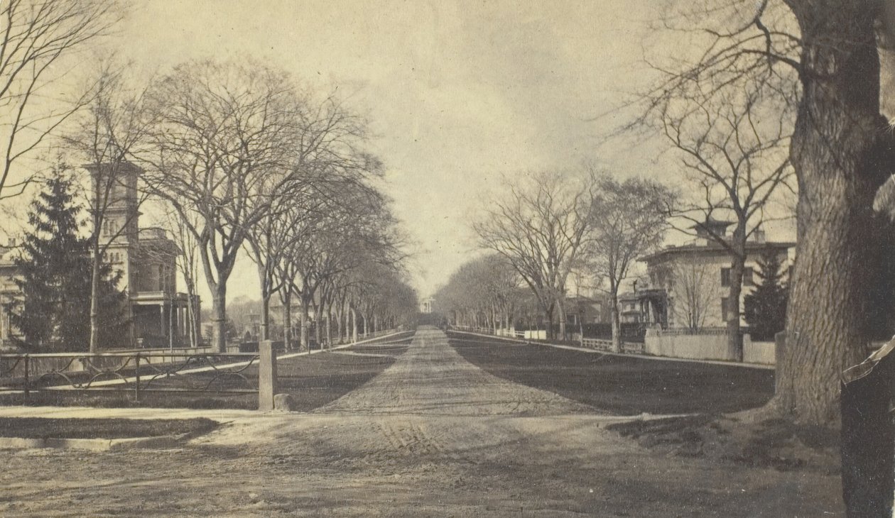 Hillhouse Avenue, 1800-tallet. af Peck Brothers