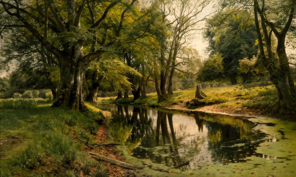 Stadig vand i skoven af Peder Monsted