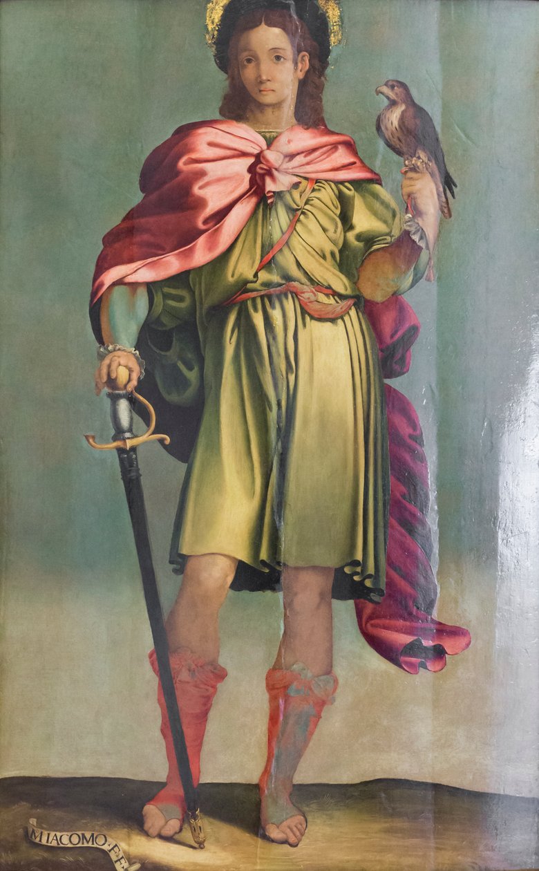 Sankt Julian Hospitalsmanden af Perino del (1501 47) Vaga