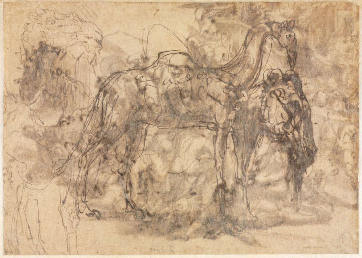 Skitser af dyr verso, ca. 154547. af Perino del Vaga