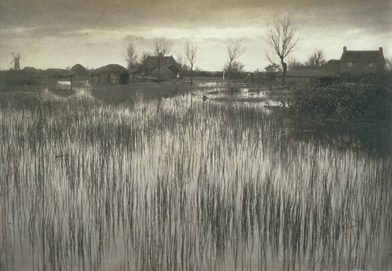 A Rushy Shore, Life and Landscape on the Norfolk Broads, c.1886 af Peter Emerson und Thomas Goodall