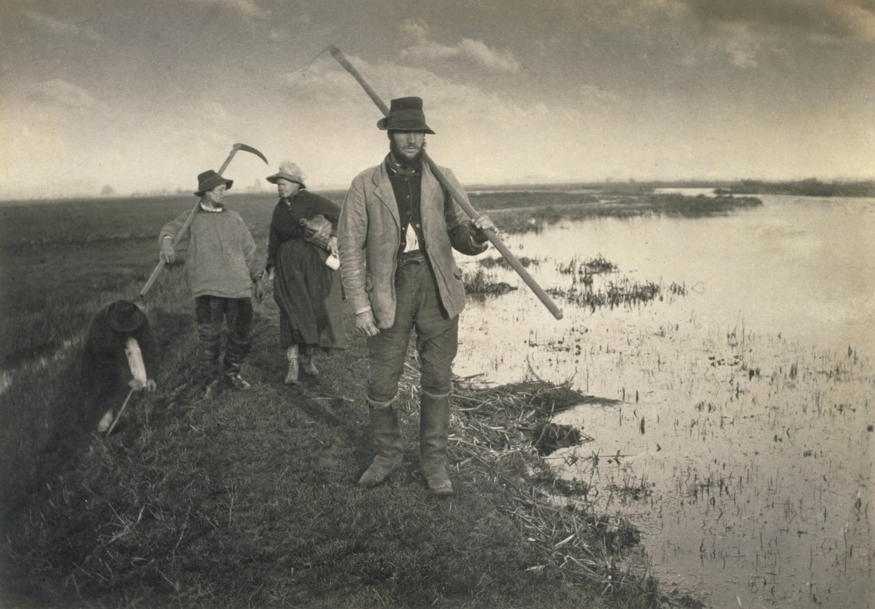 Cutting the Gladdon, Life and Landscape on the Norfolk Broads, c.1886 af Peter Emerson und Thomas Goodall