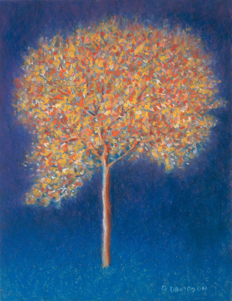 Træ i blomst, 1997 af Peter Davidson