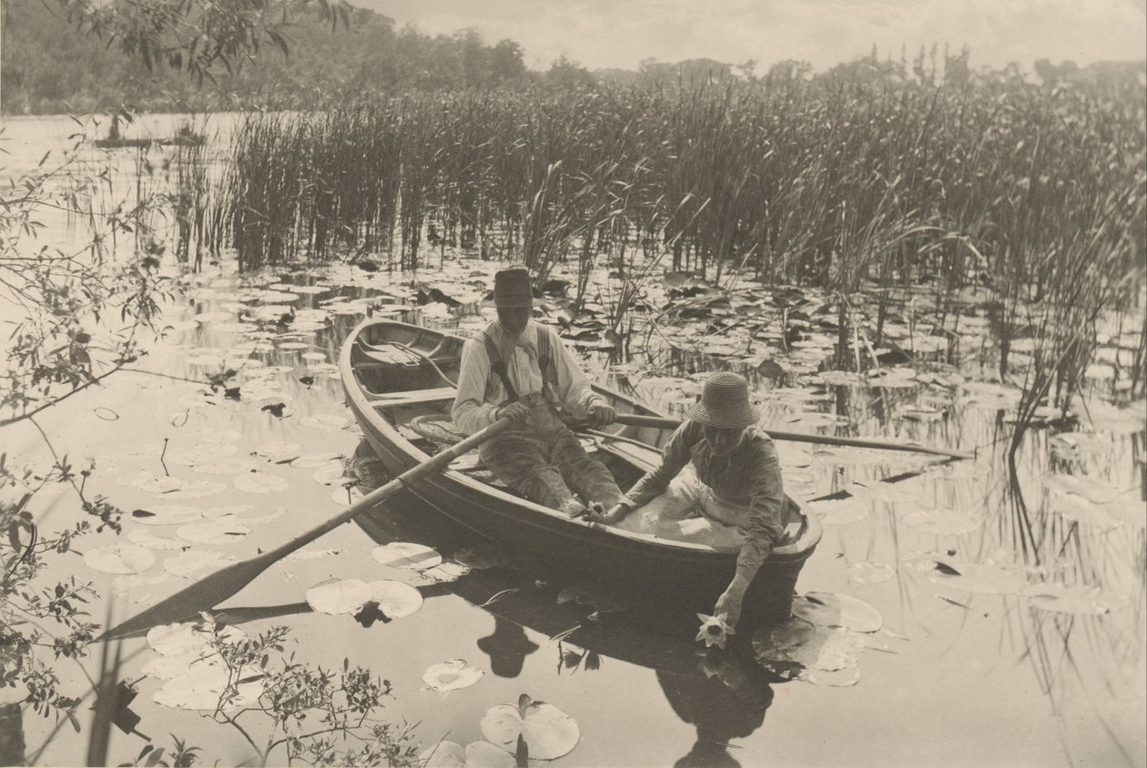 Indsamling af vandliljer af Peter Henry Emerson