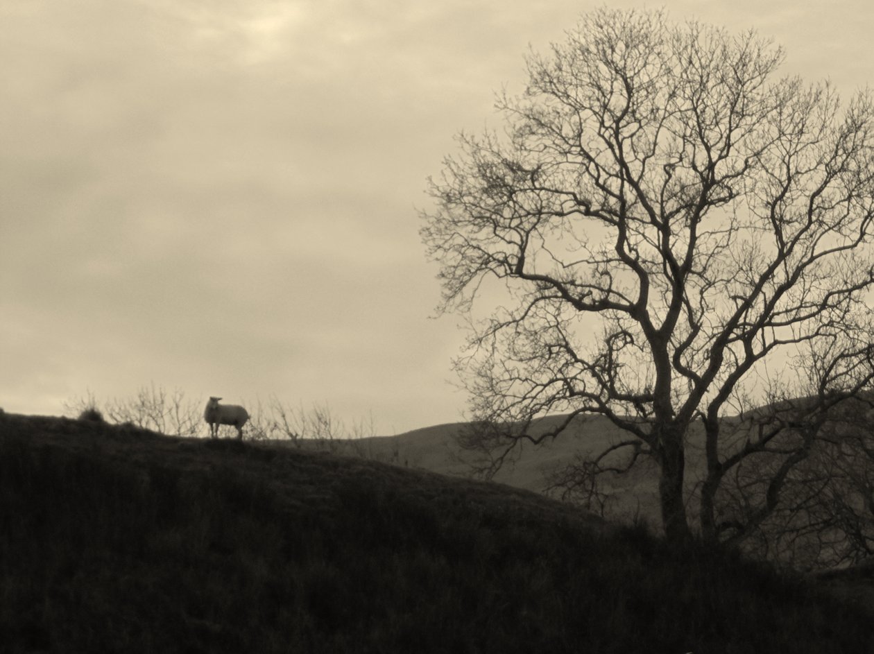 KINTYRE... PLUS.9 af Peter McClure