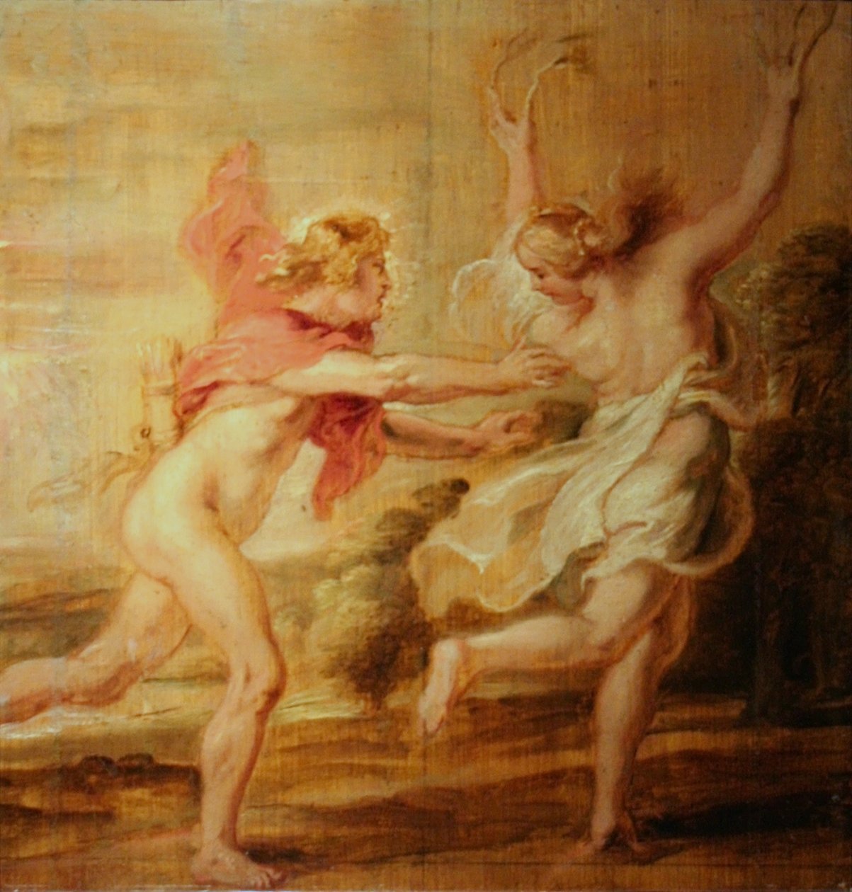 Apollo og Daphne af Peter Paul Rubens