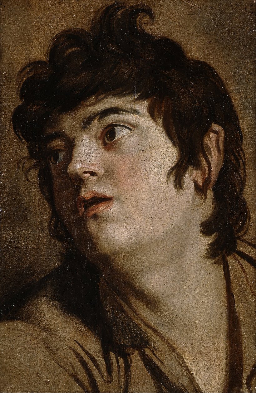 Hoved af en ung mand af Peter Paul Rubens