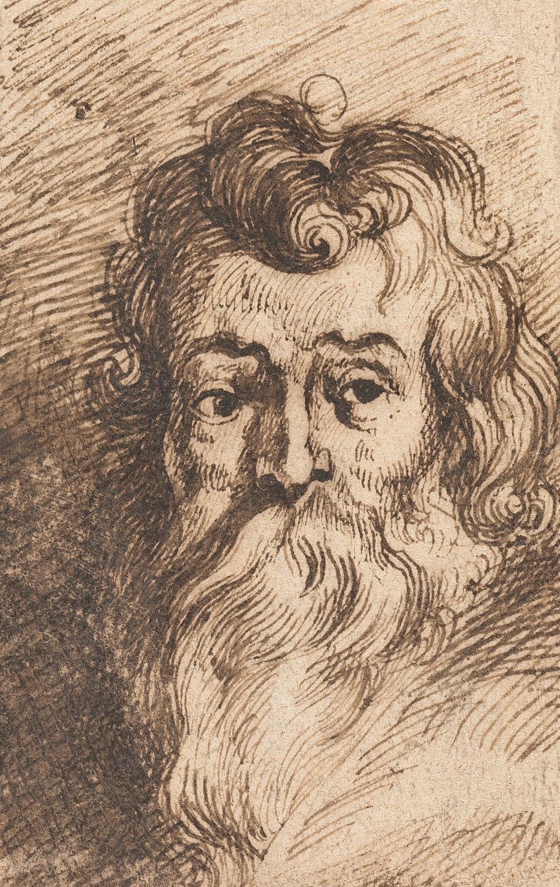 Hoved af en skægget mand af Peter Paul Rubens