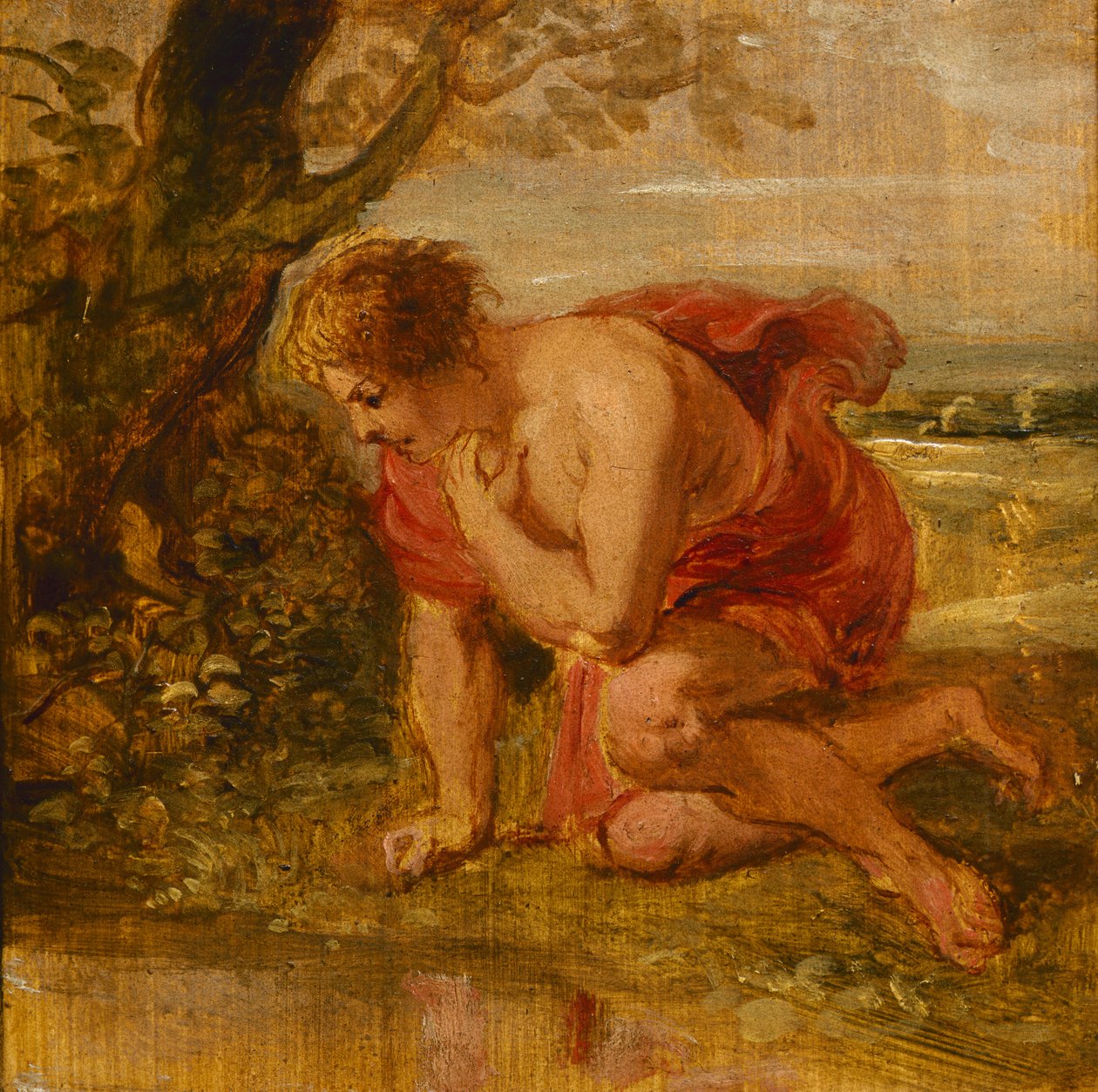 Narcissus af Peter Paul Rubens