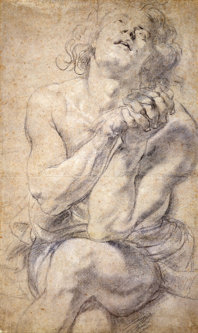 Siddende mandlig ungdom (undersøgelse til Daniel) af Peter Paul Rubens