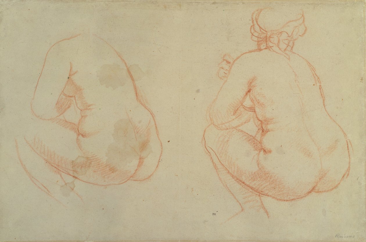 Undersøgelser af kvindelige nøgenbilleder af Peter Paul Rubens