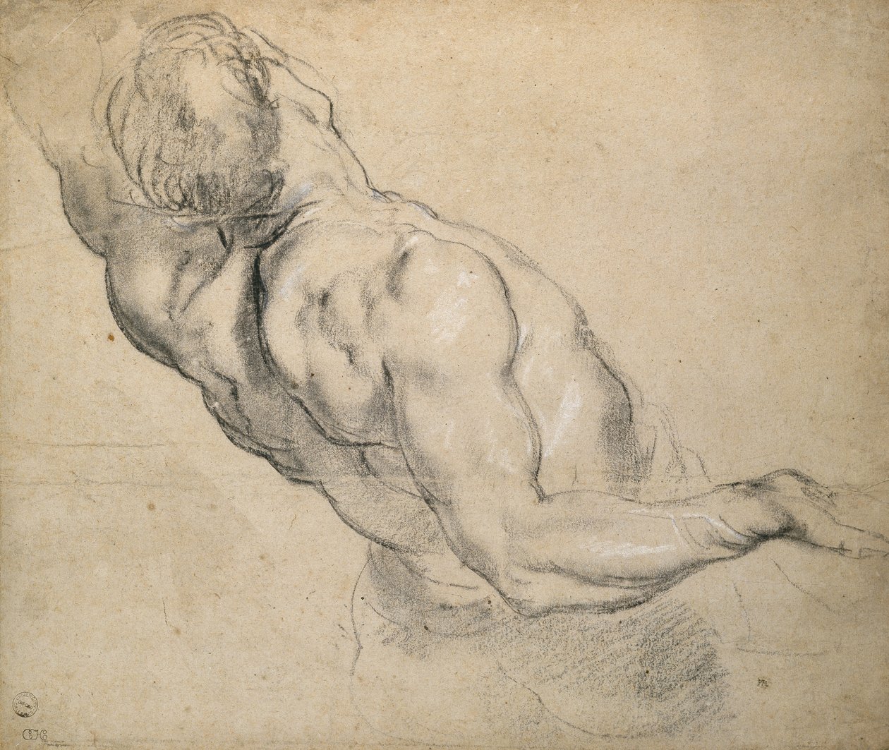 Studie af en nøgen mandlig torso af Peter Paul Rubens