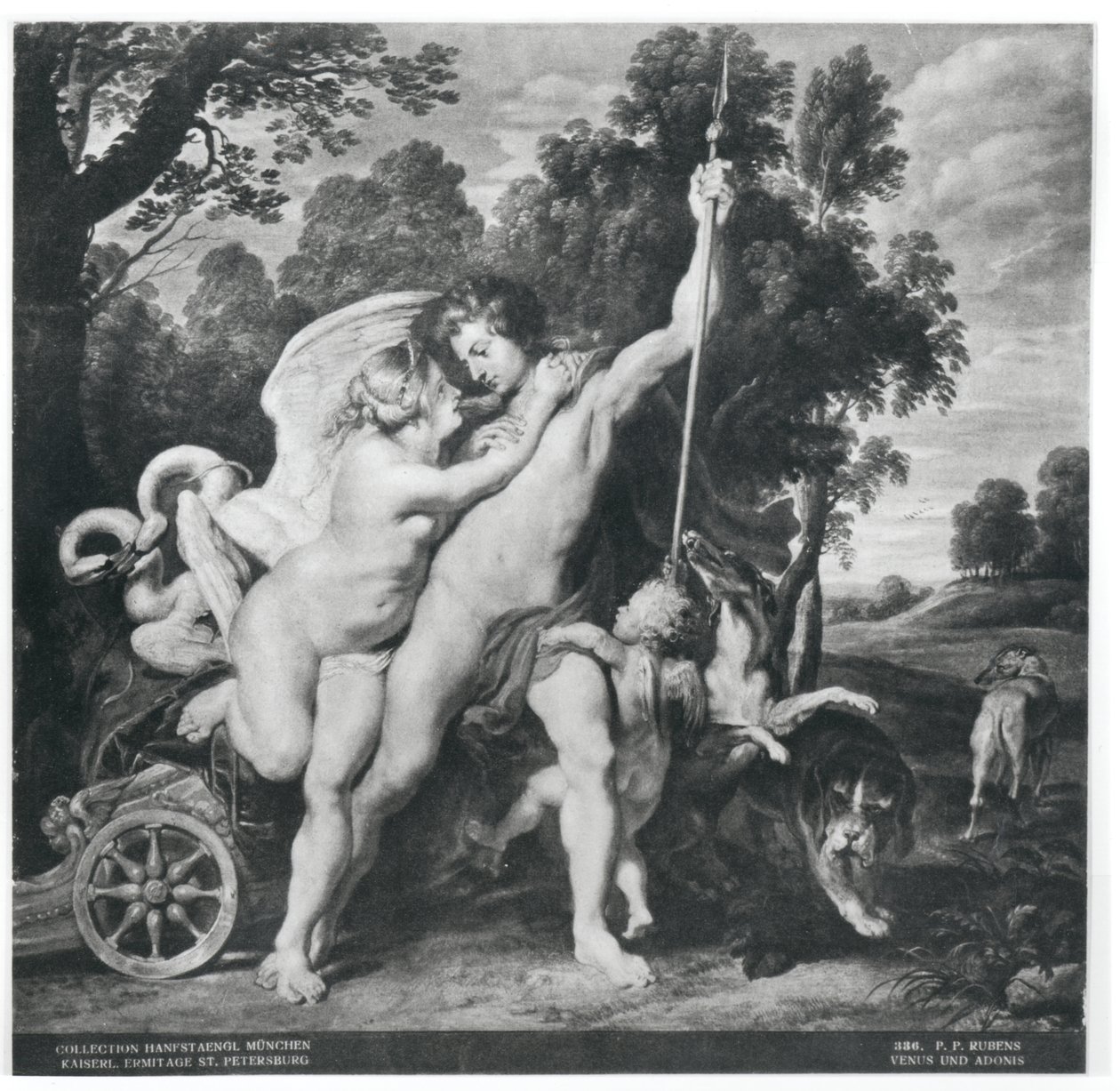 Venus og Adonis af Peter Paul Rubens