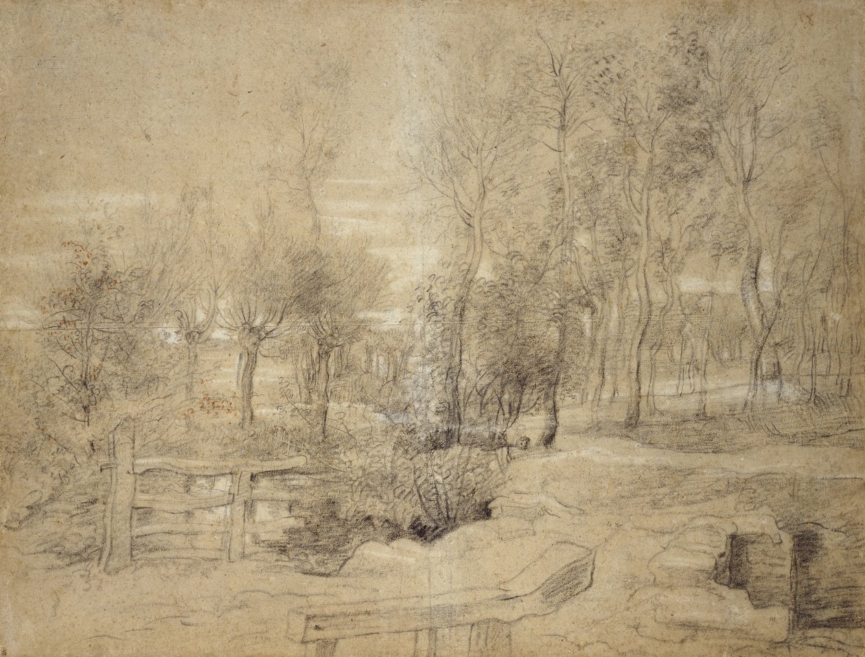 Woodland Scene (oliebehandlet trækul rørt med rød og hvid kridt på stenfarvet papir) af Peter Paul Rubens
